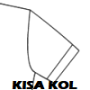 Kısa Kol